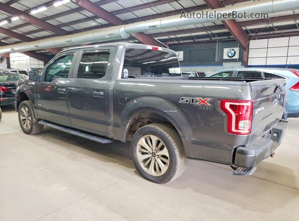 1FTEW1EP2HFC58027 2017 FORD F150 Серый Задняя левая четверть