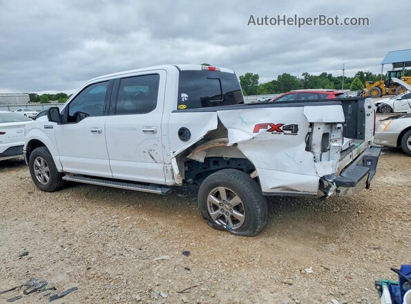 1FTEW1EP2KKC33305 2019 FORD F150 White Հետևի ձախ
