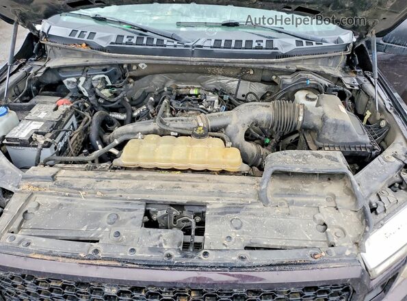 1FTEW1EP2LKF14313 2020 FORD F150 Коричневый Вид задней части салона