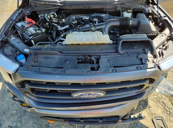 1FTEW1EP2PKD77038 2023 FORD F150 Серый Вид задней части салона