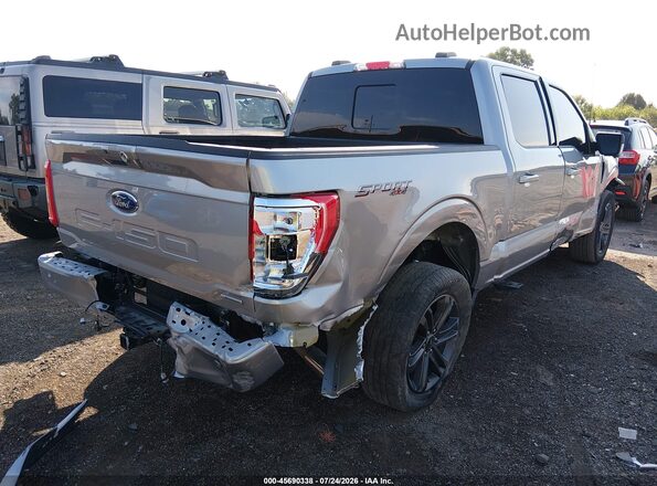 1FTEW1EP2PKF49388 2023 FORD F150 Gray Rear right