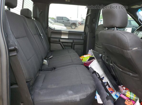 1FTEW1EP3GFB69310 2016 FORD F150 Gray Widok tylnych siedzeń
