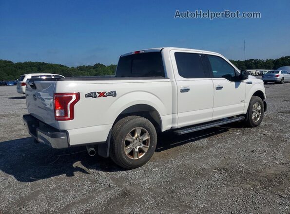 1FTEW1EP3HFB48118 2017 FORD F150 White Հետևի աջ