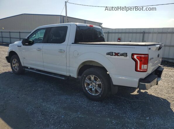 1FTEW1EP3HFB48118 2017 FORD F150 White Հետևի ձախ