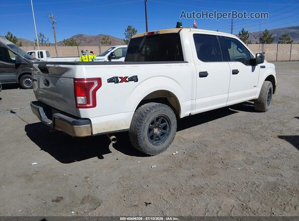 1FTEW1EP3HKC35525 2017 FORD F150 White Հետևի աջ
