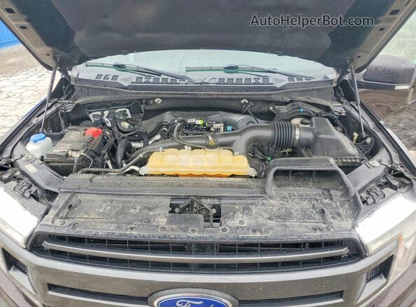1FTEW1EP3KFD31770 2019 FORD F150 Угольный Вид задней части салона
