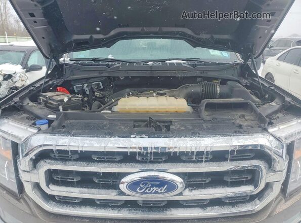 1FTEW1EP3MKD68585 2021 FORD F150 Gray Սալոնի հետևի տեսք