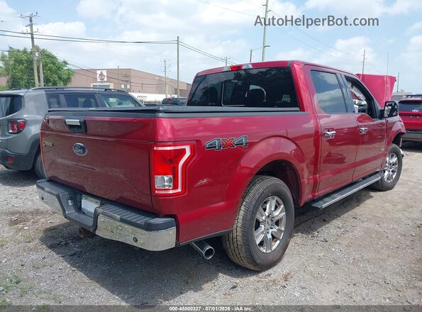 1FTEW1EP4GFA45241 2016 FORD F150 Red Հետևի աջ