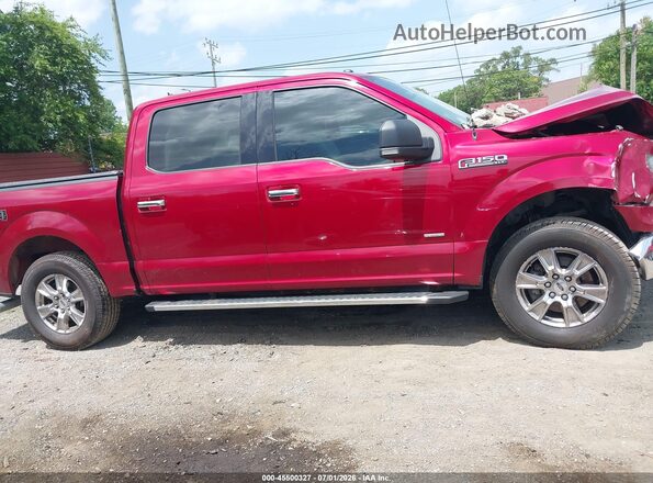1FTEW1EP4GFA45241 2016 FORD F150 Red Սալոնի հետևի տեսք