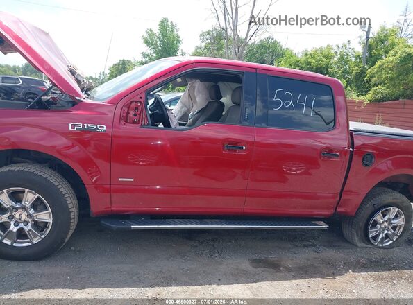 1FTEW1EP4GFA45241 2016 FORD F150 Red Սալոնի 360 աստիճան տեսք