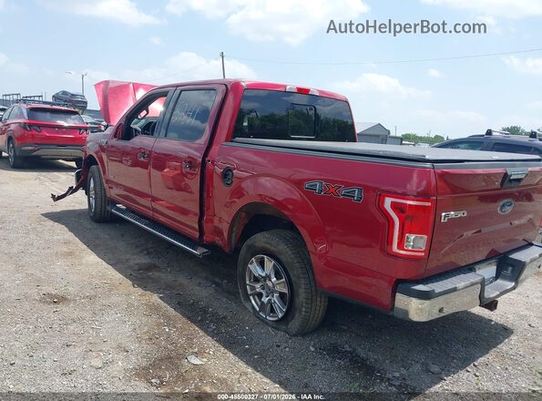 1FTEW1EP4GFA45241 2016 FORD F150 Red Հետևի ձախ