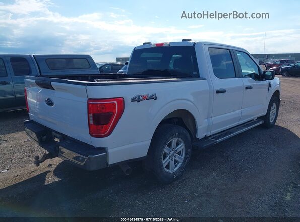 1FTEW1EP4MFA54873 2021 FORD F150 White უკანა მარჯვენა