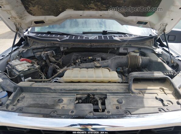 1FTEW1EP4MFA54873 2021 FORD F150 White უკანა ხედი