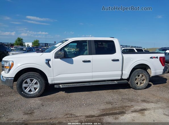 1FTEW1EP4MFA54873 2021 FORD F150 White სალონის 360-გრადუსიანი ხედი