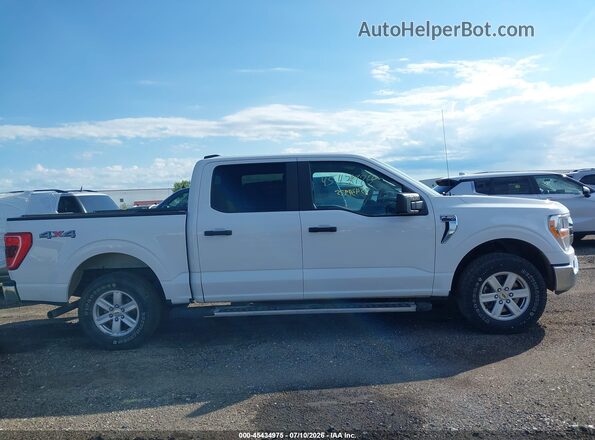 1FTEW1EP4MFA54873 2021 FORD F150 White უკანა სალონის ხედი