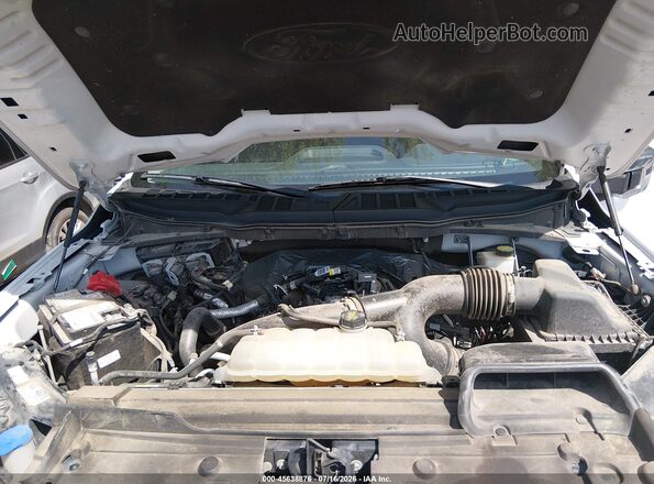 1FTEW1EP4PFB56663 2023 FORD F150 White Rear view