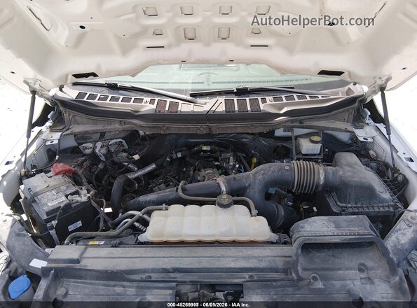 1FTEW1EP4PKD18752 2023 FORD F150 White Հետևի տեսք