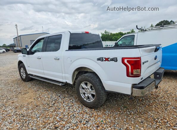 1FTEW1EP5GKD70522 2016 FORD F150 White Հետևի ձախ