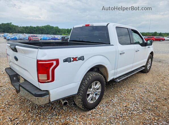 1FTEW1EP5GKD70522 2016 FORD F150 White Հետևի աջ