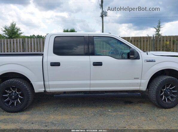 1FTEW1EP5GKF35484 2016 FORD F150 Белый Вид задней части салона
