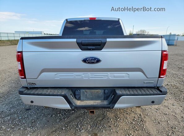1FTEW1EP5KFC46414 2019 FORD F150 Silver Vista trasera