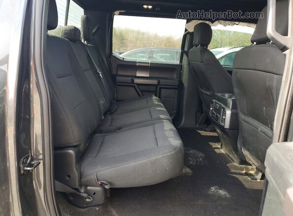1FTEW1EP5LFB73854 2020 FORD F150 Gray უკანა სავარძლების ხედი