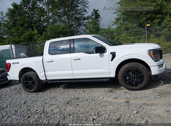 1FTEW1EP5NFB37116 2022 FORD F150 White Սալոնի հետևի տեսք