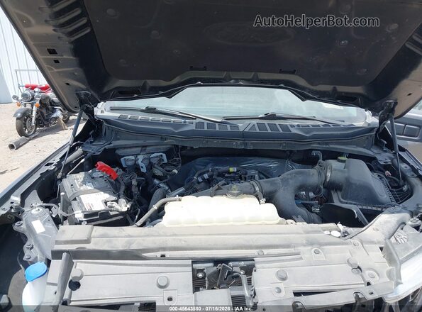 1FTEW1EP5PFC72745 2023 FORD F150 Gray Widok z tyłu