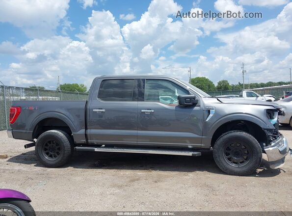 1FTEW1EP5PFC72745 2023 FORD F150 Gray Widok wnętrza z tyłu