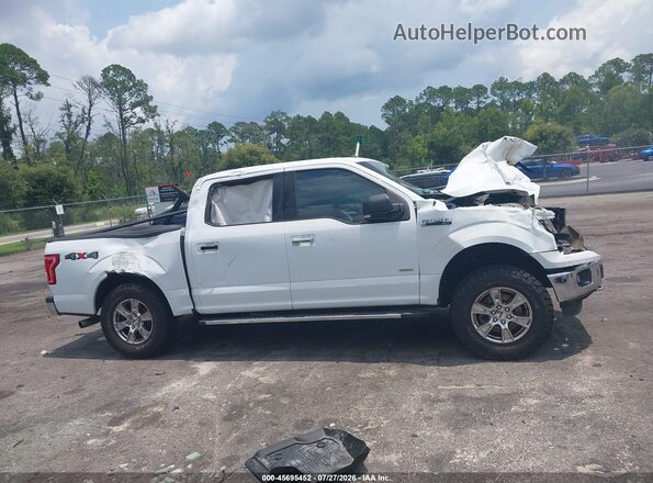 1FTEW1EP6GFB81208 2016 FORD F150 White Widok wnętrza z tyłu