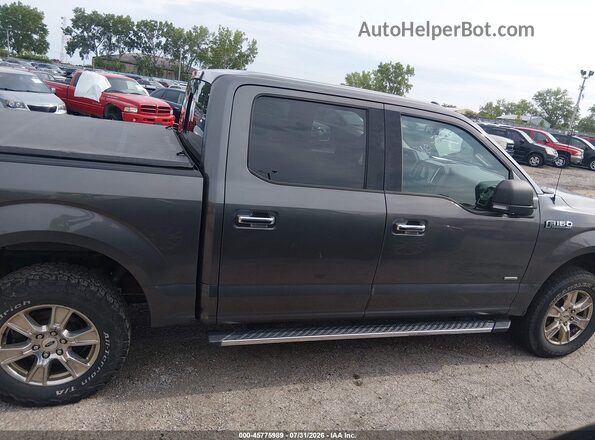 1FTEW1EP6GKE81693 2016 FORD F150 Gray Սալոնի հետևի տեսք