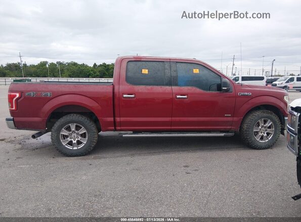 1FTEW1EP6HKC51878 2017 FORD F150 Красный Вид задней части салона