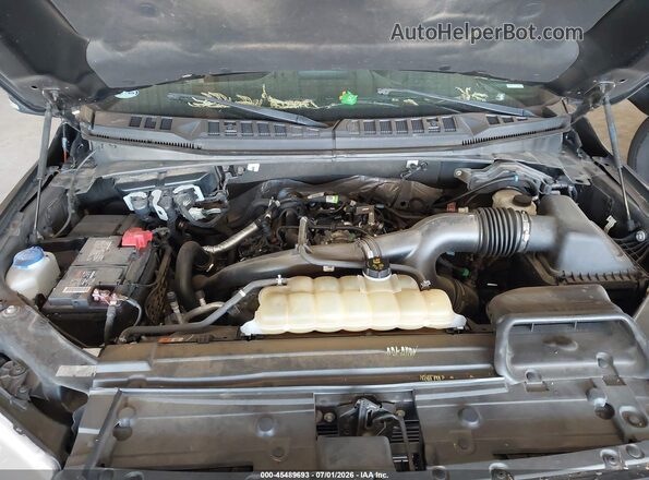 1FTEW1EP6LKF14251 2020 FORD F150 Gray Widok z tyłu