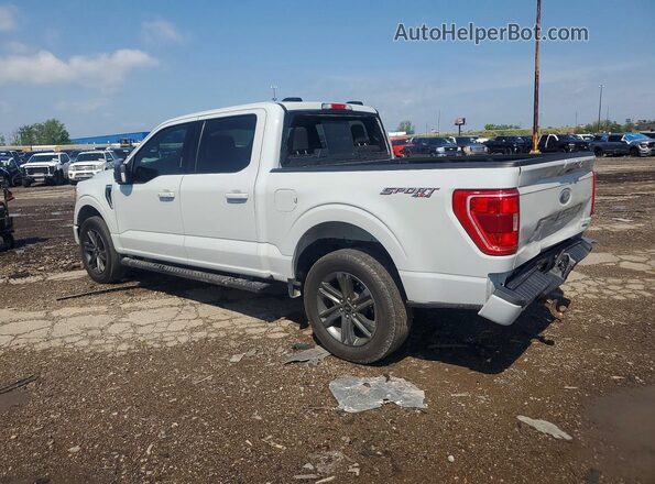 1FTEW1EP6PFD32578 2023 FORD F150 Gray Trasero izquierdo