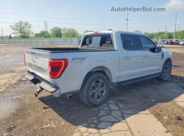 1FTEW1EP6PFD32578 2023 FORD F150 Gray Trasero derecho