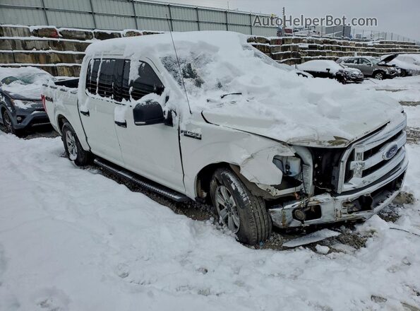 1FTEW1EP7GFA56444 2016 FORD F150 White Front right