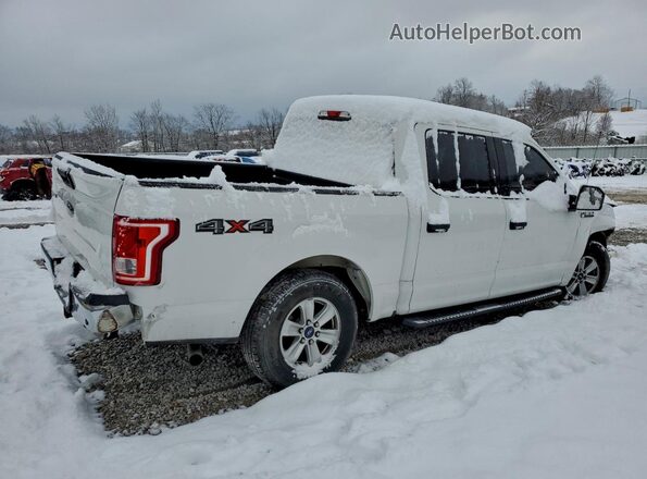 1FTEW1EP7GFA56444 2016 FORD F150 White Rear right