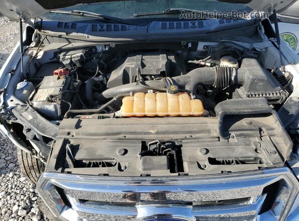 1FTEW1EP7GFA56444 2016 FORD F150 White Rear interior view