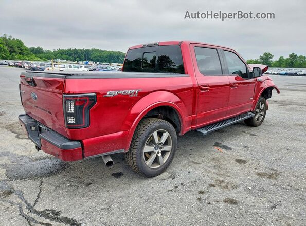 1FTEW1EP7GFC28066 2016 FORD F150 Red უკანა მარჯვენა