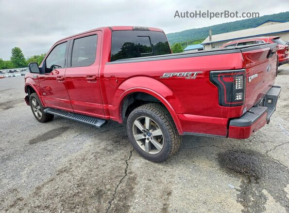1FTEW1EP7GFC28066 2016 FORD F150 Red უკანა მარცხენა
