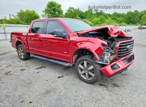 1FTEW1EP7GFC28066 2016 FORD F150 Red წინა მარჯვენა
