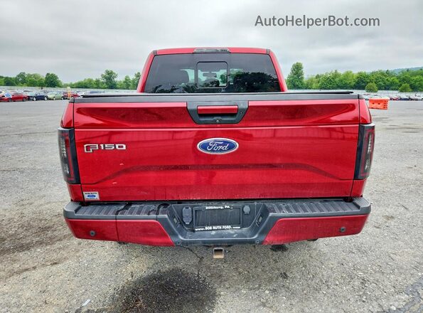 1FTEW1EP7GFC28066 2016 FORD F150 Red უკანა ხედი