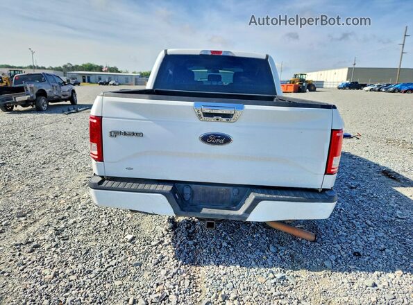1FTEW1EP7HFA60639 2017 FORD F150 White Rear view