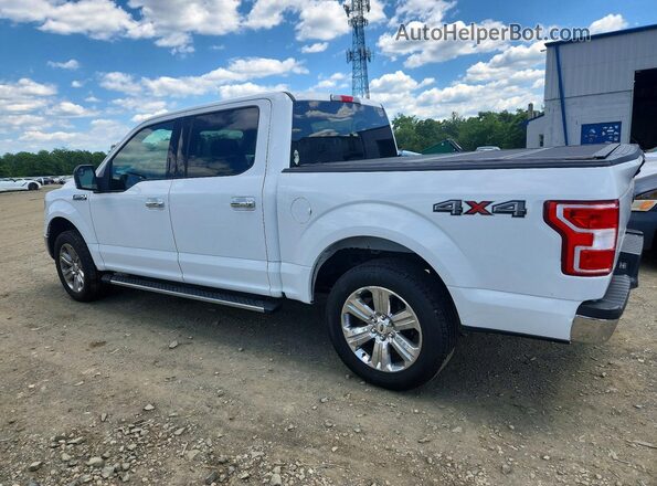 1FTEW1EP7JFB42702 2018 FORD F150 White Trasero izquierdo