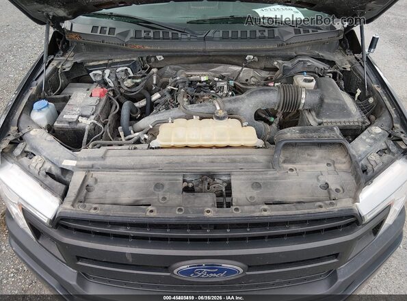 1FTEW1EP7LKE13333 2020 FORD F150 Gray Widok z tyłu
