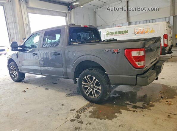 1FTEW1EP7MFB41683 2021 FORD F150 Gray Հետևի ձախ