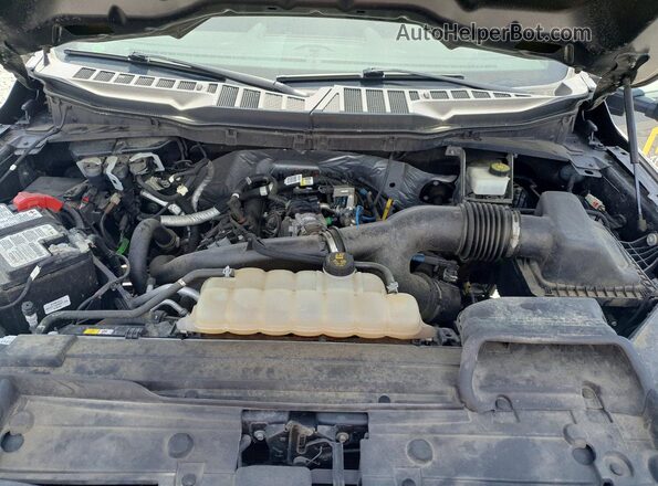 1FTEW1EP7MFB41683 2021 FORD F150 Gray Սալոնի հետևի տեսք