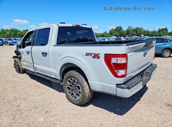 1FTEW1EP7PFA81764 2023 FORD F150 Gray Հետևի ձախ