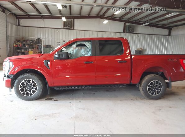 1FTEW1EP7PKD54239 2023 FORD F150 Red Vista interior de 360 grados