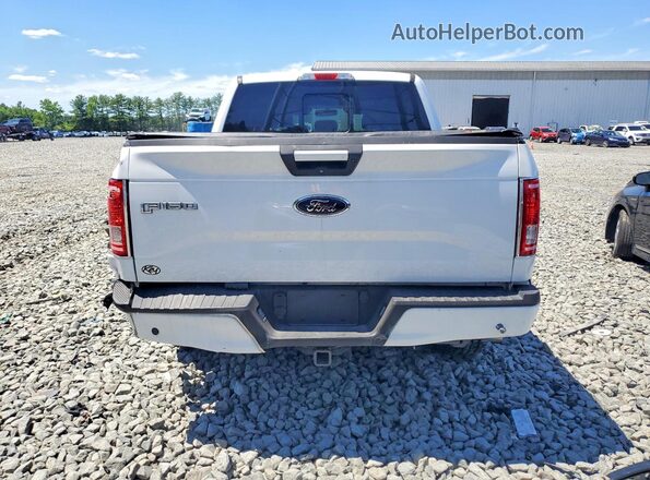 1FTEW1EP8GFC64350 2016 FORD F150 White Հետևի տեսք